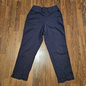 Organic Airplane Tapered Leg Pant